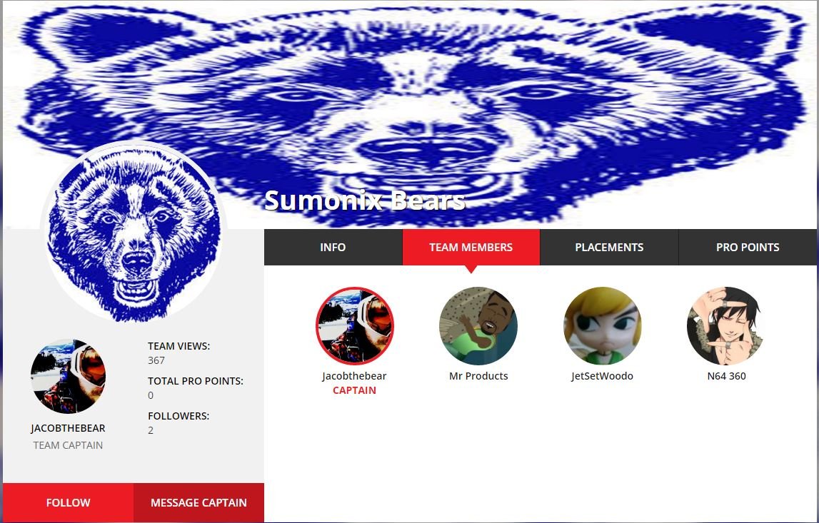 Screenshot of Summonix Bears info